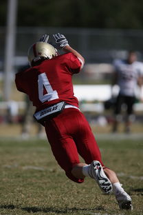 九游(jiuyou)官方网站-德甲球队视频分析辅助防守站位调整的实证研究，德甲防守最好的球队