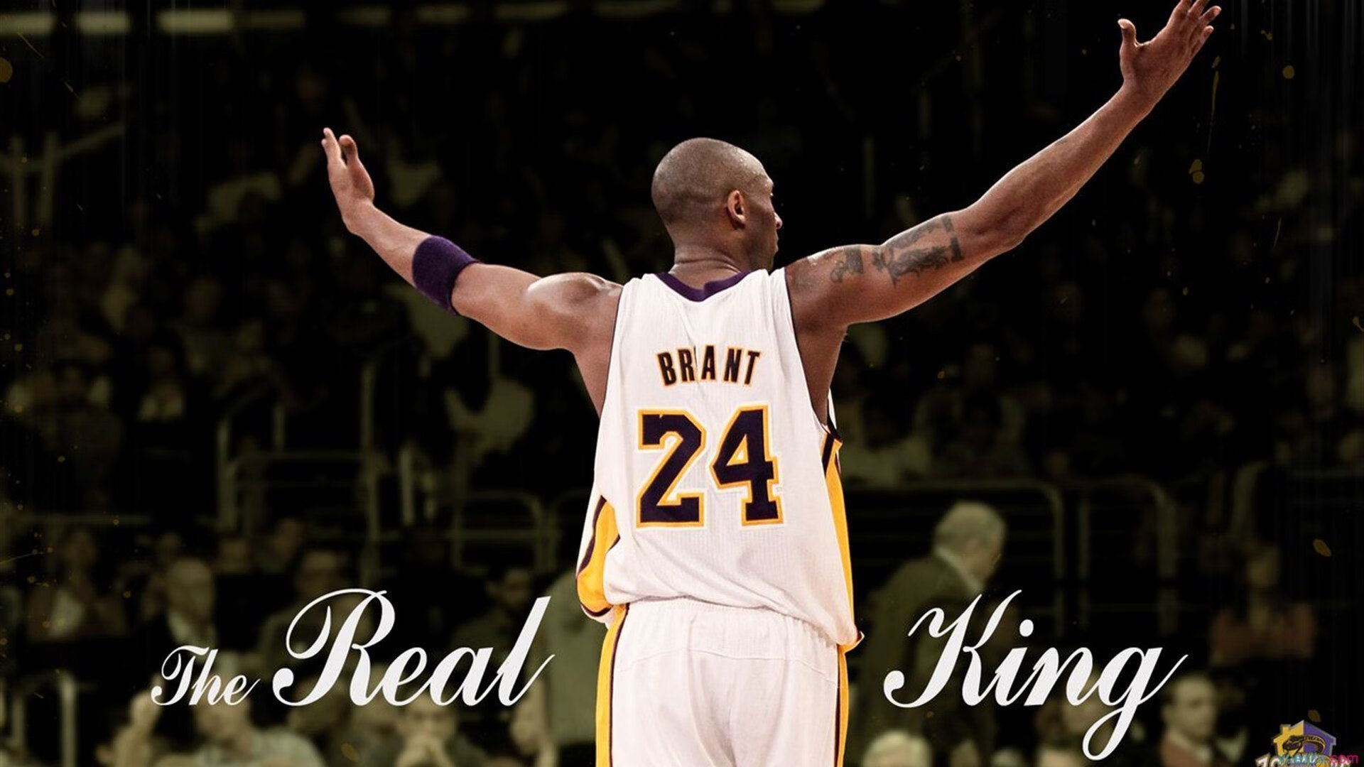 九游jiuyou-运动员康复管理新方案，运动员的康复训练